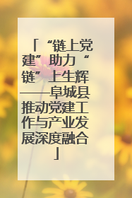 “链上党建”助力“链”上生辉——阜城县推动党建工作与产业发展深度融合