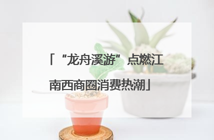 “龙舟溪游”点燃江南西商圈消费热潮