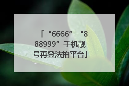 “6666”“888999”手机靓号再登法拍平台