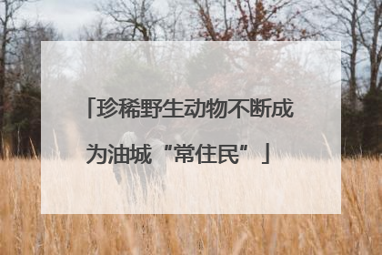 珍稀野生动物不断成为油城“常住民”