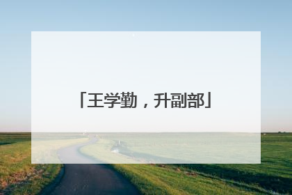 王学勤，升副部