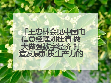 王忠林会见中国电信总经理刘桂清 做大做强数字经济 打造发展新质生产力的强劲引擎