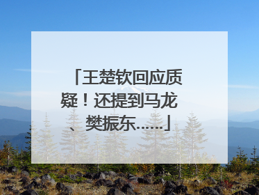 王楚钦回应质疑！还提到马龙、樊振东……