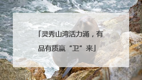 灵秀山湾活力涌，有品有质赢“卫”来