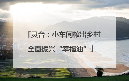 灵台：小车间榨出乡村全面振兴“幸福油”