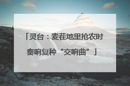 灵台：麦茬地里抢农时 奏响复种“交响曲”