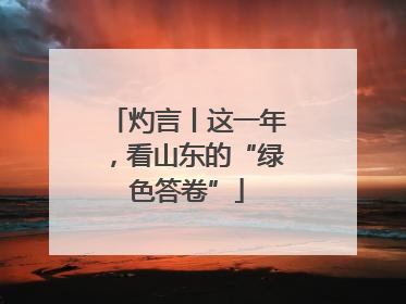 灼言丨这一年，看山东的“绿色答卷”