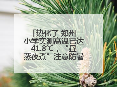 热化了 郑州一小学实测高温已达41.8℃，“昼蒸夜煮”注意防暑，警惕局地强对流和雷暴大风！