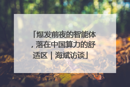 爆发前夜的智能体，落在中国算力的舒适区｜海斌访谈
