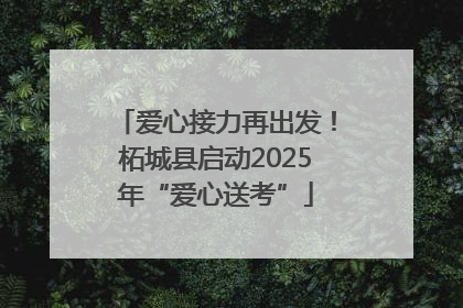 爱心接力再出发！柘城县启动2025年“爱心送考”