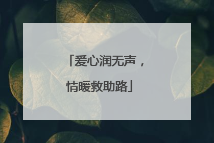 爱心润无声，情暖救助路