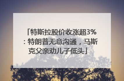 特斯拉股价收涨超3%：特朗普无意沟通，马斯克父亲劝儿子低头