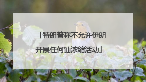 特朗普称不允许伊朗开展任何铀浓缩活动