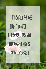 特朗普威胁自6月1日起对欧盟商品征收50%关税