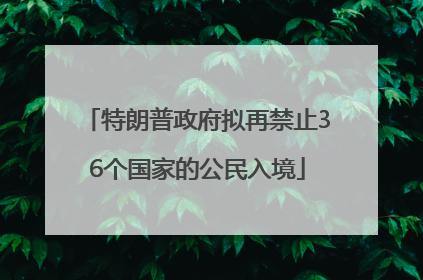 特朗普政府拟再禁止36个国家的公民入境