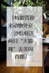 特朗普迎来动物外交：沙特将送两只“大猫咪”去美国首都