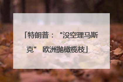 特朗普：“没空理马斯克” 欧洲抛橄榄枝