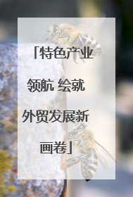 特色产业领航 绘就外贸发展新画卷