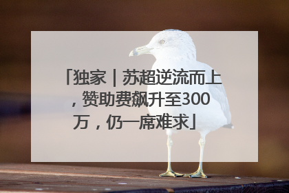 独家｜苏超逆流而上，赞助费飙升至300万，仍一席难求