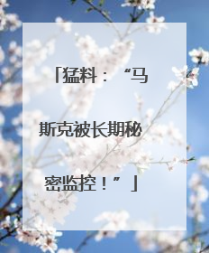 猛料：“马斯克被长期秘密监控！”