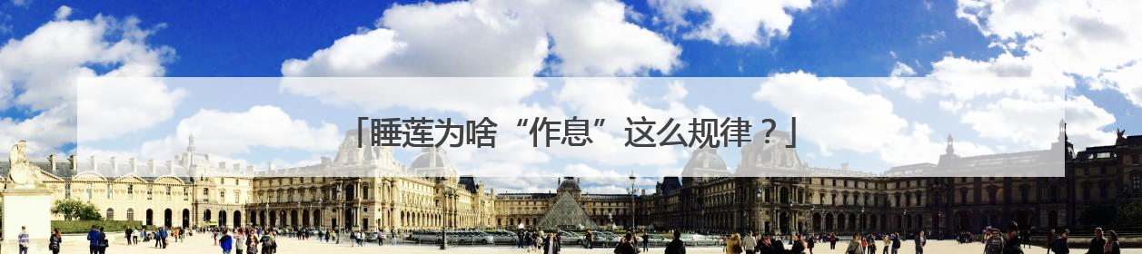 睡莲为啥“作息”这么规律？