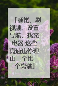 睡觉、刷视频、设置导航、找充电器 这些高速违停理由一个比一个离谱