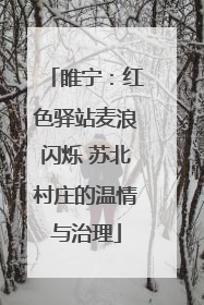 睢宁：红色驿站麦浪闪烁 苏北村庄的温情与治理