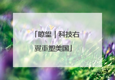 瞭望｜科技右翼重塑美国