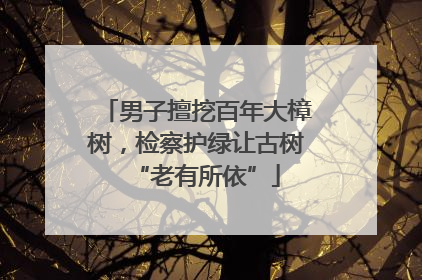 男子擅挖百年大樟树，检察护绿让古树“老有所依”