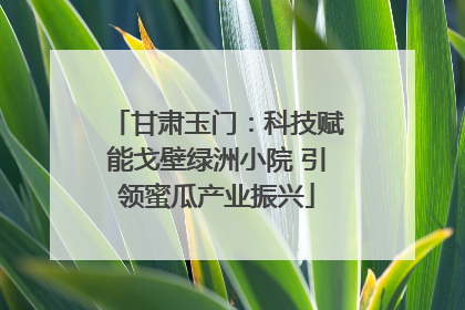 甘肃玉门：科技赋能戈壁绿洲小院 引领蜜瓜产业振兴