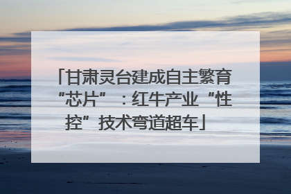 甘肃灵台建成自主繁育“芯片”：红牛产业“性控”技术弯道超车