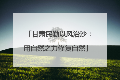 甘肃民勤以风治沙：用自然之力修复自然