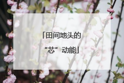 田间地头的“芯”动能