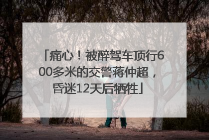 痛心！被醉驾车顶行600多米的交警蒋仲超，昏迷12天后牺牲