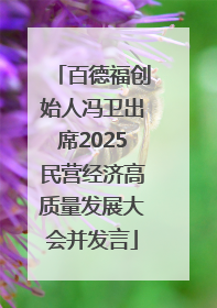 百德福创始人冯卫出席2025民营经济高质量发展大会并发言
