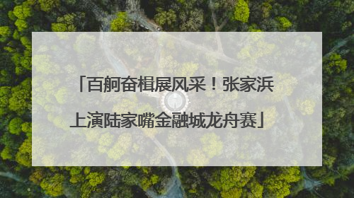 百舸奋楫展风采！张家浜上演陆家嘴金融城龙舟赛