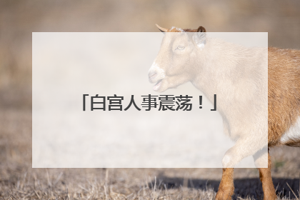 白宫人事震荡！