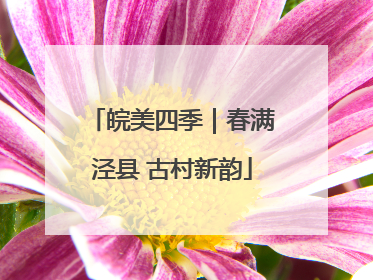 皖美四季｜春满泾县 古村新韵