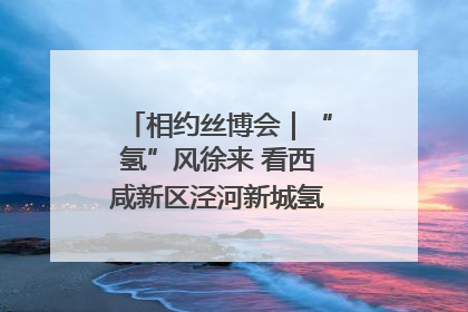 相约丝博会｜“氢”风徐来 看西咸新区泾河新城氢能产业聚链成势