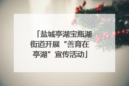 盐城亭湖宝瓶湖街道开展“善育在亭湖”宣传活动