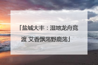 盐城大丰：湿地龙舟竞渡 艾香飘荡野鹿荡