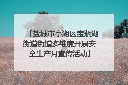 盐城市亭湖区宝瓶湖街道街道多维度开展安全生产月宣传活动