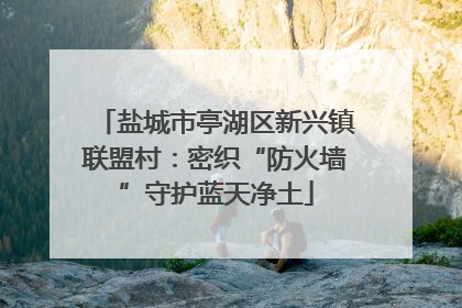 盐城市亭湖区新兴镇联盟村：密织“防火墙”守护蓝天净土
