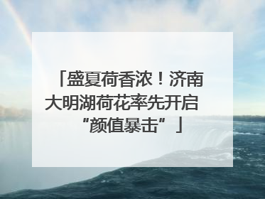 盛夏荷香浓！济南大明湖荷花率先开启“颜值暴击”