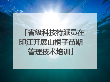 省级科技特派员在印江开展山桐子苗期管理技术培训