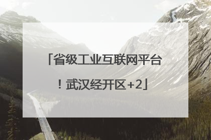 省级工业互联网平台！武汉经开区+2