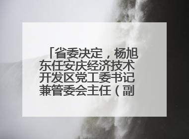 省委决定，杨旭东任安庆经济技术开发区党工委书记兼管委会主任（副厅级）