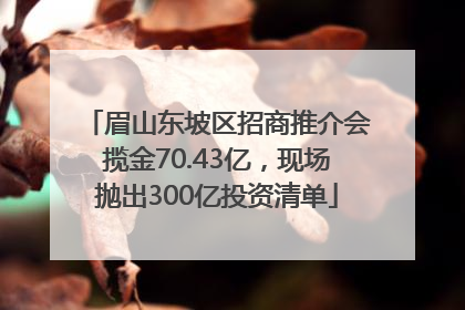 眉山东坡区招商推介会揽金70.43亿，现场抛出300亿投资清单