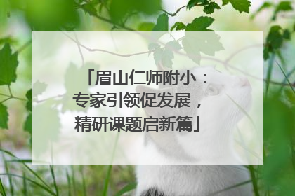 眉山仁师附小：专家引领促发展，精研课题启新篇