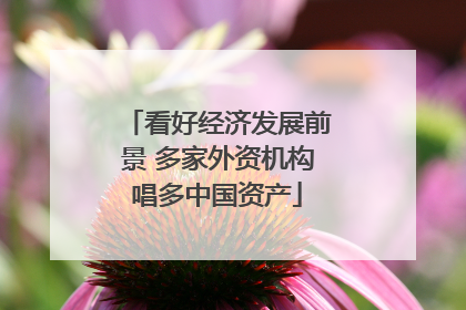 看好经济发展前景 多家外资机构唱多中国资产